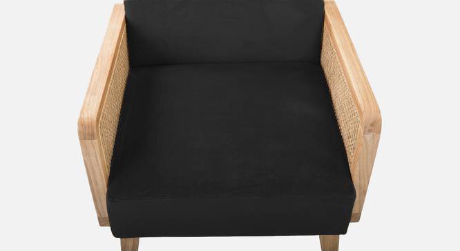Evant Ratan Accent Chair in Green Colour (Black) by Urban Ladder - Design 1 Side View - 854226
