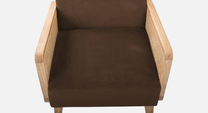 Evant Ratan Accent Chair in Green Colour (Brown) by Urban Ladder - Design 1 Side View - 854229