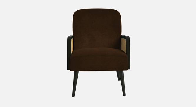 Haden Ratan Accent Chair in Cream Colour (Brown) by Urban Ladder - Design 1 Side View - 854233