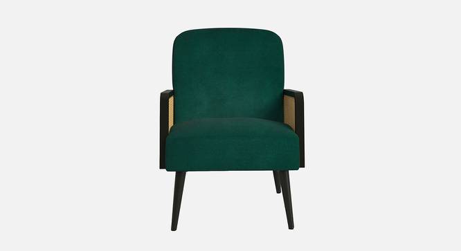 Haden Ratan Accent Chair in Cream Colour (Dark Green) by Urban Ladder - Design 1 Side View - 854235