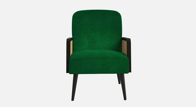 Haden Ratan Accent Chair in Cream Colour (Green) by Urban Ladder - Design 1 Side View - 854238