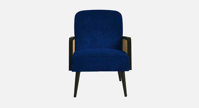 Haden Ratan Accent Chair in Cream Colour (Navy Blue) by Urban Ladder - Design 1 Side View - 854239