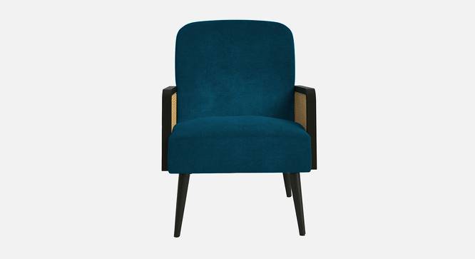 Haden Ratan Accent Chair in Cream Colour (Teal Blue) by Urban Ladder - Design 1 Side View - 854240