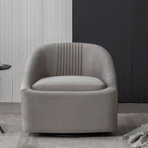 Chrishun Accent Chair in Grey Colour-image-48