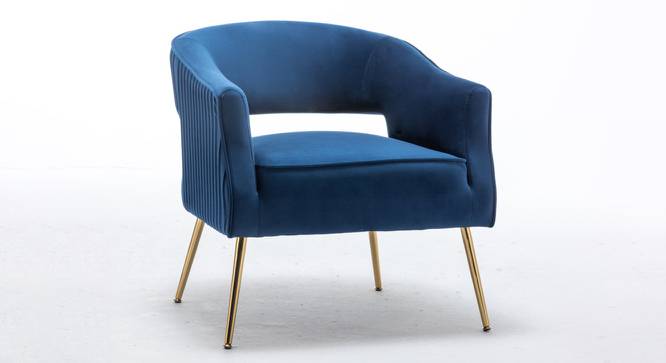Carl Accent Chair in Yellow Colour (Navy Blue) by Urban Ladder - Design 1 Side View - 854376