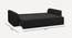 Cacef 3 Seater Pull Out Sofa Cum Bed ith storage In Tourquise Colour (Black) by Urban Ladder - Rear View Design 1 - 854408