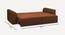 Cacef 3 Seater Pull Out Sofa Cum Bed ith storage In Tourquise Colour (Brown) by Urban Ladder - Rear View Design 1 - 854410