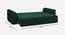Cacef 3 Seater Pull Out Sofa Cum Bed ith storage In Tourquise Colour (Green) by Urban Ladder - Rear View Design 1 - 854411