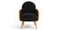 Derel Accent Chair in Pink Colour (Black) by Urban Ladder - Design 1 Side View - 854445