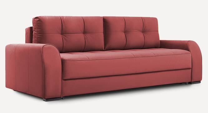 Calliro 3 Seater Pull Out Sofa Cum Bed with storage In Navy Blue Colour (Pink) by Urban Ladder - Front View Design 1 - 854483