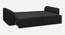 Cacef 3 Seater Pull Out Sofa Cum Bed ith storage In Tourquise Colour (Black) by Urban Ladder - Ground View Design 1 - 854484
