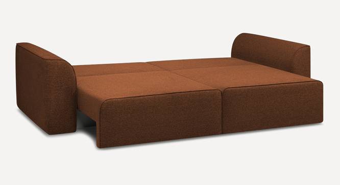Cacef 3 Seater Pull Out Sofa Cum Bed ith storage In Tourquise Colour (Brown) by Urban Ladder - Ground View Design 1 - 854486