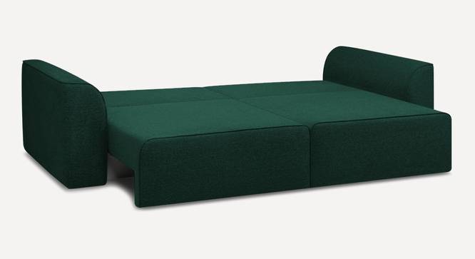 Cacef 3 Seater Pull Out Sofa Cum Bed ith storage In Tourquise Colour (Green) by Urban Ladder - Ground View Design 1 - 854488