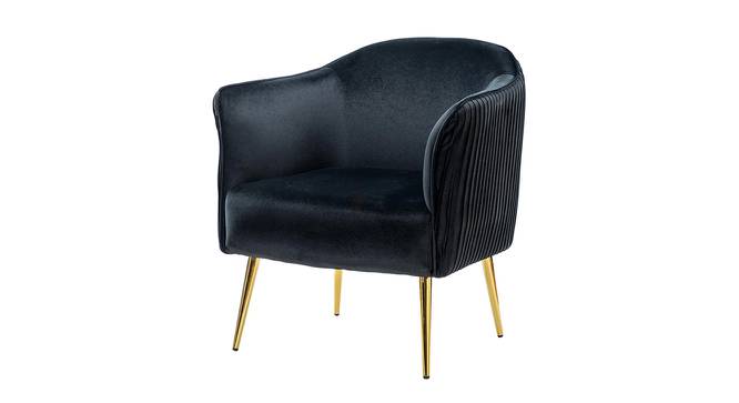 Celeo Velvet Accent Chair in Teal Blue Colour (Black) by Urban Ladder - Front View Design 1 - 854491