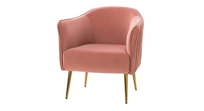 Celeo Velvet Accent Chair in Teal Blue Colour (Dusty Rose) by Urban Ladder - Front View Design 1 - 854498