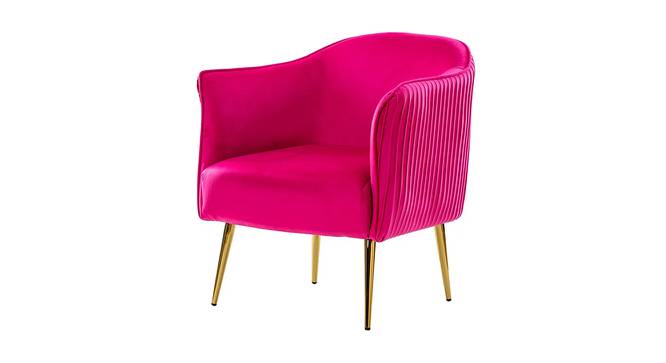 Celeo Velvet Accent Chair in Teal Blue Colour (Pink) by Urban Ladder - Front View Design 1 - 854508