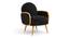 Derel Accent Chair in Pink Colour (Black) by Urban Ladder - Front View Design 1 - 854525