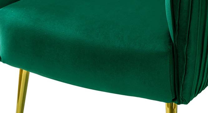 Celeo Velvet Accent Chair in Teal Blue Colour (Green) by Urban Ladder - Ground View Design 1 - 854535