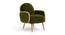 Derel Accent Chair in Pink Colour (Mint Green) by Urban Ladder - Front View Design 1 - 854537