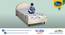 Beddy Nest Single Kids/Bunk Bed Natural Coir Latex Mattress with Free Waterproof Protector (4 in Mattress Thickness (in Inches), 72 x 36 in Mattress Size) by Urban Ladder - - 