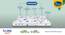 Beddy Nest Single Kids/Bunk Bed Natural Coir Latex Mattress with Free Waterproof Protector (4 in Mattress Thickness (in Inches), 72 x 36 in Mattress Size) by Urban Ladder - - 