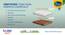 Beddy Nest Single Kids/Bunk Bed Natural Coir Latex Mattress with Free Waterproof Protector (4 in Mattress Thickness (in Inches), 72 x 36 in Mattress Size) by Urban Ladder - - 