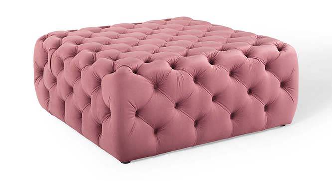 Leonex Ottoman Color in White (Pink) by Urban Ladder - Front View Design 1 - 856107