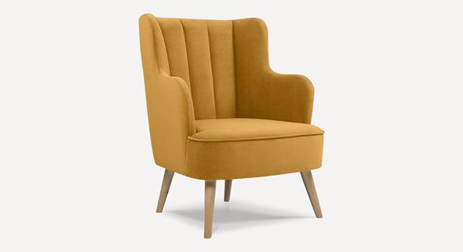 Lerrot Accent chair Velvet in Beige Color (Yellow) by Urban Ladder - Front View Design 1 - 856118
