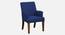 Bertly Accent chair Velvet in Grey Color (Navy Blue) by Urban Ladder - Front View Design 1 - 856166