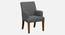 Bertly Accent chair Velvet in Grey Color (Grey) by Urban Ladder - Front View Design 1 - 856175
