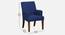 Bertly Accent chair Velvet in Grey Color (Navy Blue) by Urban Ladder - Rear View Design 1 - 856264