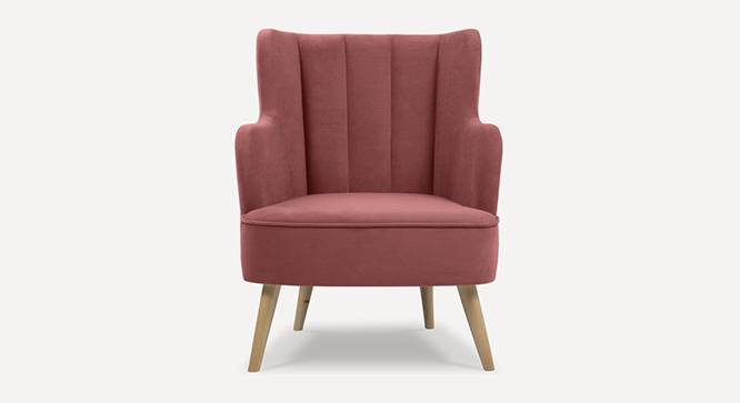 Lerrot Accent chair Velvet in Beige Color (Pink) by Urban Ladder - Design 1 Side View - 856302