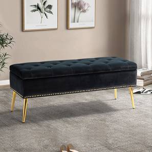 home lifestylez Kajana 2 Seater Ottoman with Storage Color in Orange-picture-19