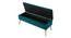 Kajana 2 Seater Ottoman with Storage Color in Orange (Teal Blue) by Urban Ladder - Design 1 Side View - 856568