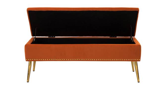 Kajana 2 Seater Ottoman with Storage Color in Orange (Orange) by Urban Ladder - Design 1 Side View - 856573