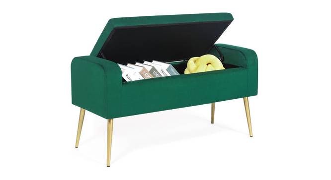 GIgel 2 Seater Ottoman with Storage Color in Navy Blue (Green) by Urban Ladder - Design 1 Side View - 856574
