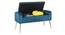 GIgel 2 Seater Ottoman with Storage Color in Navy Blue (Navy Blue) by Urban Ladder - Design 1 Side View - 856578