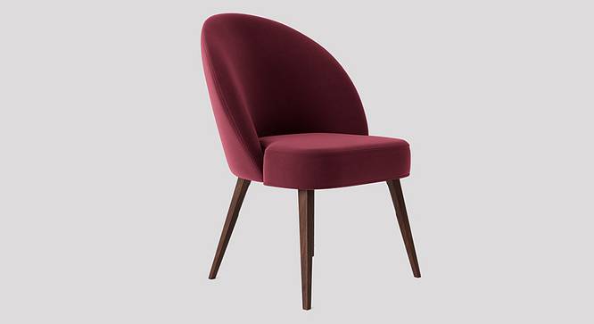 Toled Accent chair Velvet in Maroon Color (Maroon) by Urban Ladder - Front View Design 1 - 856579