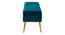 Kajana 2 Seater Ottoman with Storage Color in Orange (Teal Blue) by Urban Ladder - Ground View Design 1 - 856632