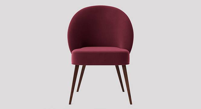 Toled Accent chair Velvet in Maroon Color (Maroon) by Urban Ladder - Design 1 Side View - 856707