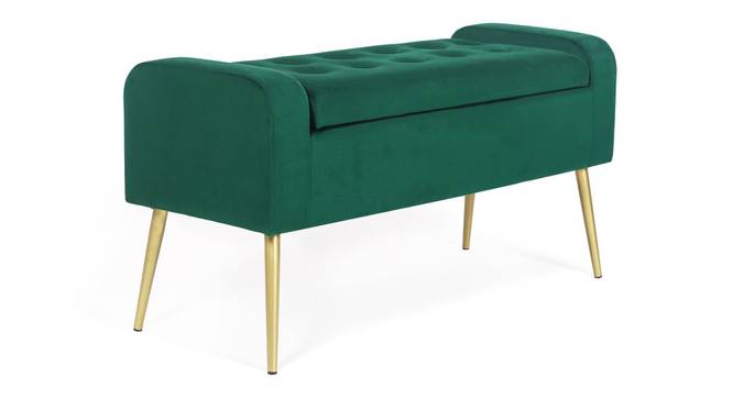 GIgel 2 Seater Ottoman with Storage Color in Navy Blue (Green) by Urban Ladder - Front View Design 1 - 856746