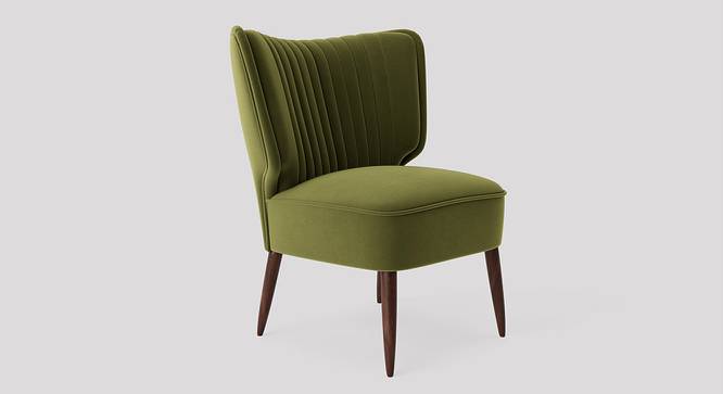 Duke Accent chair Velvet in Grey Color (Mint Green) by Urban Ladder - Front View Design 1 - 856765