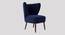 Fitz Accent chair Velvet in Maroon Color (Navy Blue) by Urban Ladder - Front View Design 1 - 856768