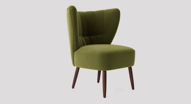 Fitz Accent chair Velvet in Maroon Color (Mint Green) by Urban Ladder - Front View Design 1 - 856769
