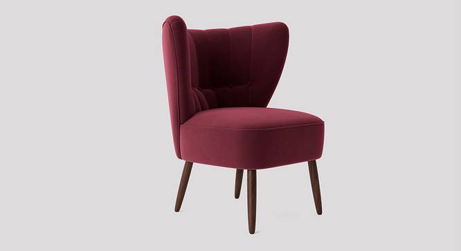 Fitz Accent chair Velvet in Maroon Color (Maroon) by Urban Ladder - Front View Design 1 - 856771