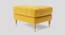 Rieti Ottoman Color in T Blue (Yellow) by Urban Ladder - Front View Design 1 - 856802