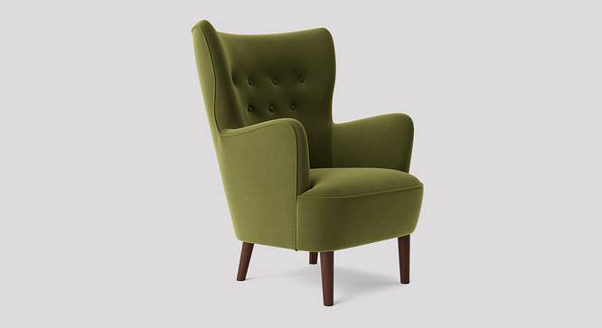 Ludwi Accent chair Velvet in Maroon Color (Mint Green) by Urban Ladder - Front View Design 1 - 856920