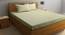 Double Bedsheet-KLBS-2155-OliveGreen (Green, Queen Size) by Urban Ladder - Front View Design 1 - 857385
