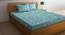 Double Bedsheet-KLBS-2179-Multi (Queen Size, Multicolor) by Urban Ladder - Front View Design 1 - 857647