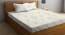 Double Bedsheet-KLBS-2087-Multi (Queen Size, Multicolor) by Urban Ladder - Front View Design 1 - 857999